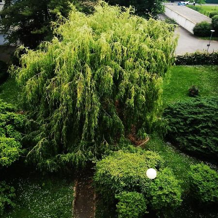 P' Ti Ecrin De Verdure Ильзак Экстерьер фото
