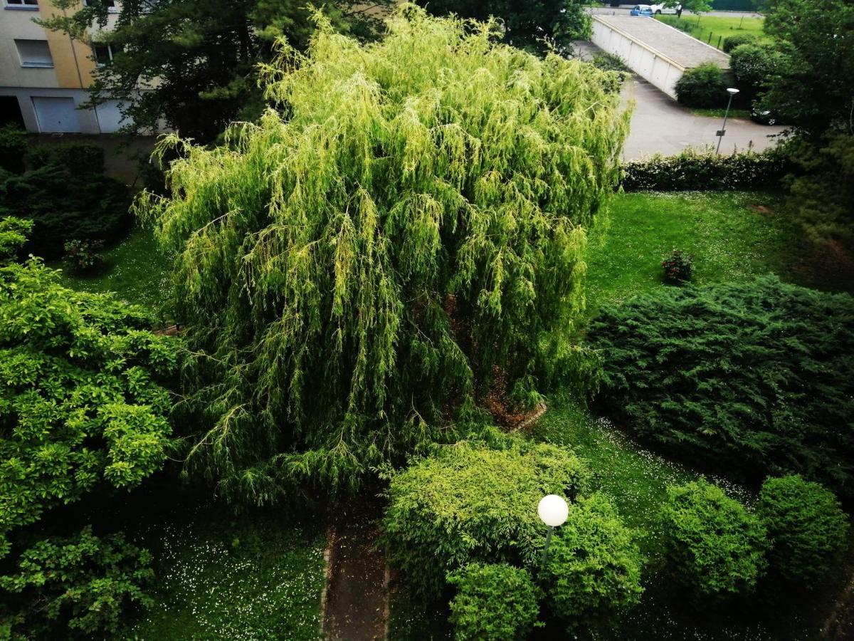 P' Ti Ecrin De Verdure Ильзак Экстерьер фото